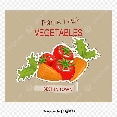 Vegetable Logo PNG Picture, Vector Vegetables Logo, Logo Vector, Hd ...