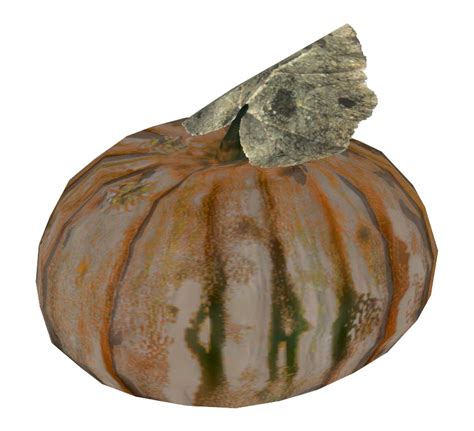 Gourd (Fallout 76) - The Fallout Wiki