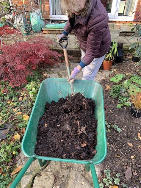 Composting autumn leaves – Sita and Minos Garden