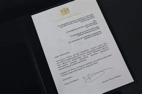 'Historic Day for Georgia' - PM Signs Application for EU Membership ...