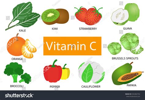 Vitamin C Food Sources On White: vector de stock (libre de regalías) 565482754 | Shutterstock