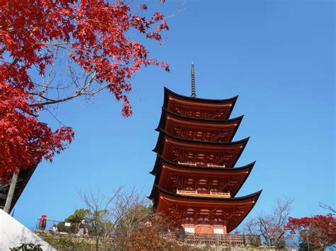 Autumn in Miyajima: Momijidani Park and Misen | Nippon.com