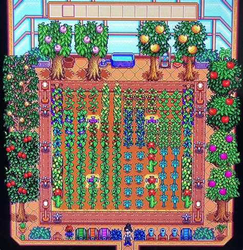 Stardew Valley: How to Build the Perfect Greenhouse Layout - Gamezo