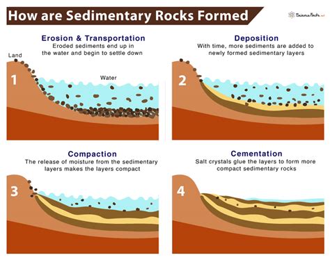 Sedimentary Rocks - Definition, Formation, Types, & Examples