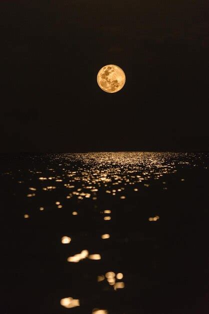 Premium Photo | Moonrise