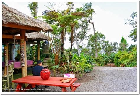 Hawaii: Mountain Thunder Coffee Plantation