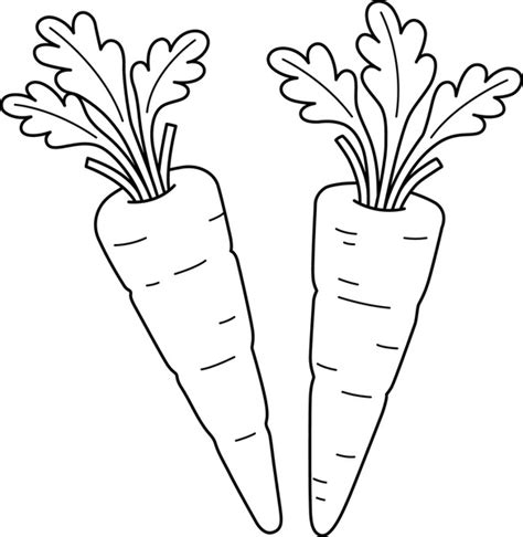 Carrot Coloring: Over 64,690 Royalty-Free Licensable Stock Vectors & Vector Art | Shutterstock