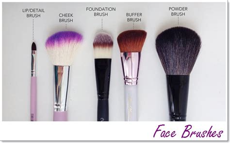 Learn Basic makeup tools for beginners