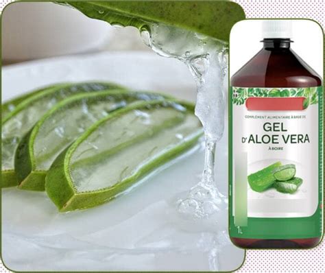 Homemade Aloe Vera Moisturizer [Dry Skin, Oily Skin, Acne, Hair]