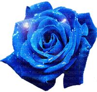 blue rose, gif , animated , blue , rose , shining , sparkling , wet - Free animated GIF - PicMix