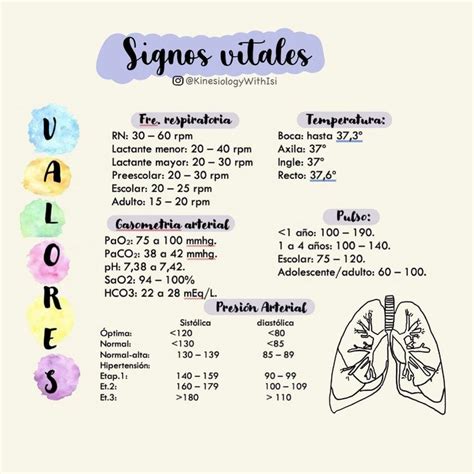 8.559 Me gusta, 14 comentarios - 𝓢tᥙdყgrᥲm sobrᥱ 𝓚ιᥒᥱsιoᥣogίᥲ ...