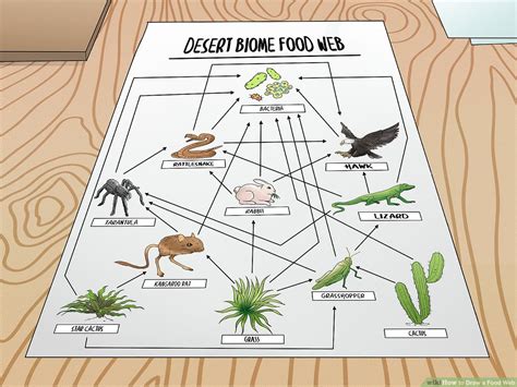 Food Web Worksheet Answer Key – Imsyaf.com