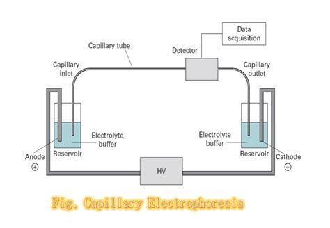 Capillary Electrophoresis: Introduction, instrumentation, procedure