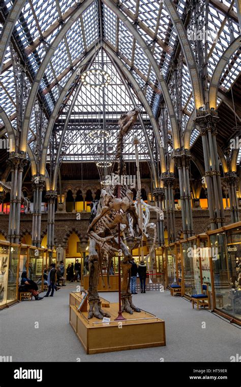 Oxford university natural history museum hi-res stock photography and images - Alamy