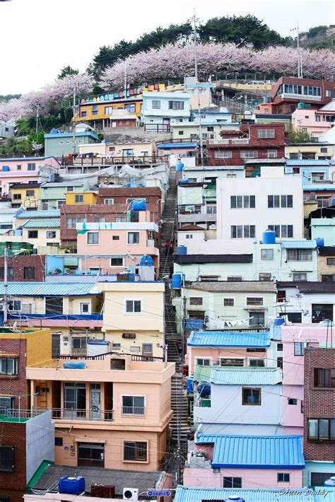 for those who love South Korea : Photo | Gamcheon culture village, Scenery village, Korea city