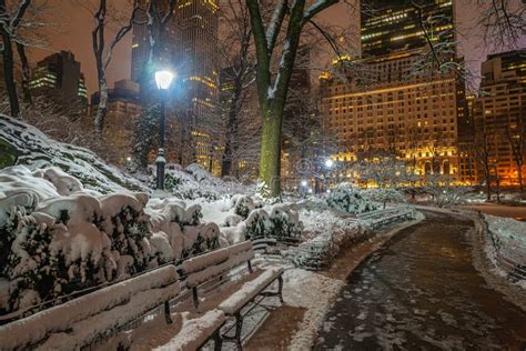 Central Park in Winter at Night Stock Image - Image of plants, cold ...