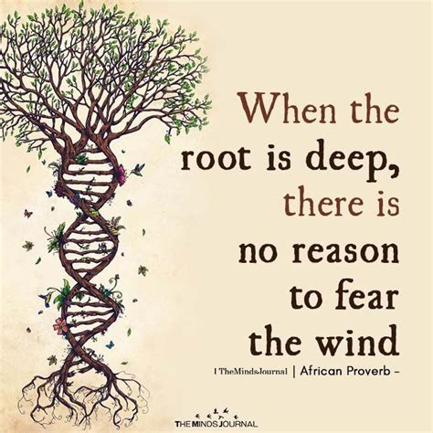 When The Root Is Deep | Tree of life quotes, Roots quotes, Tree quotes