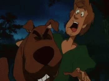 Zoinks Scooby Doo GIF - Zoinks ScoobyDoo Shaggy - Discover & Share GIFs