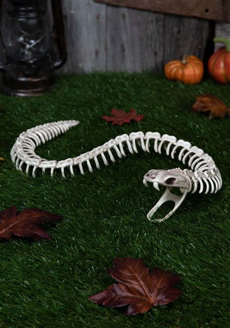 36" Snake Skeleton Halloween Prop | Animal Skeleton Decorations