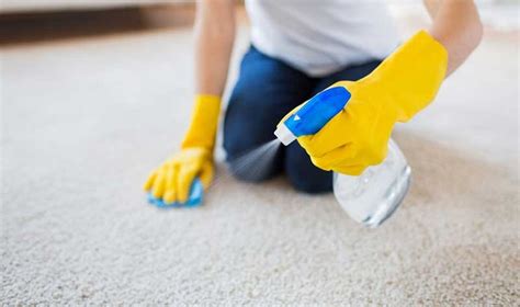 Cleaning Hacks to Save Your Carpet - Bond Cleaning In Melbourne