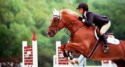Show jumping / chestnut warmblood | Chestnut horse, Horse jumping, Show jumping