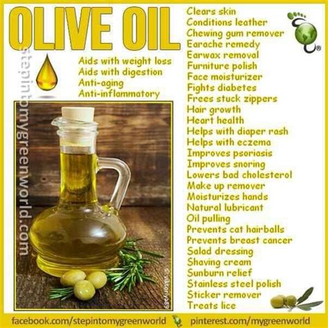 Olive oil | Healing food, Healthy oils, Health food