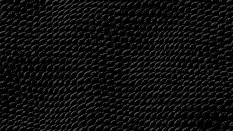 Snake Skin wallpaper | 1920x1080 | #14271