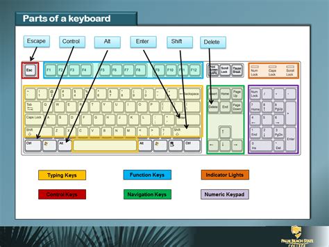 Parts of Keyboard | Keyboarding, Networking basics, Computer lessons