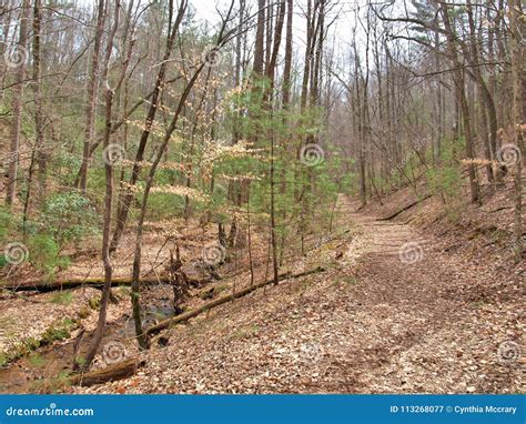 Fairy Stone State Park Hiking Trail Stock Image - Image of mountains, boating: 113268077