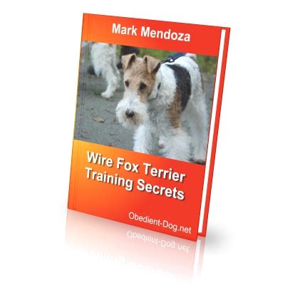 Wire Fox Terrier Training Secrets - How To Train a Wire Fox Terrier