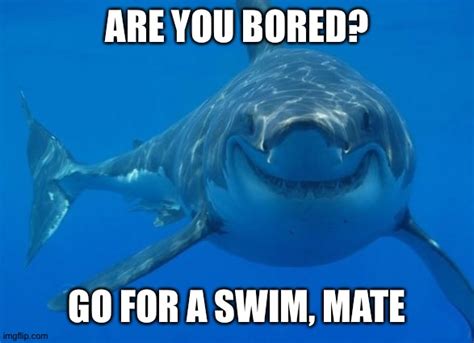 Smiling Shark Memes - Imgflip