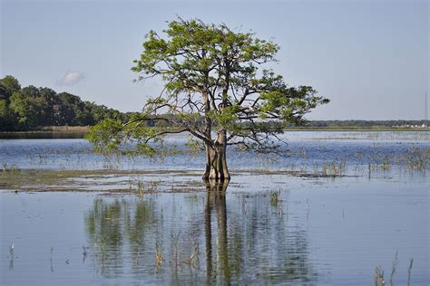 Live2KayakFish: Lake Toho Bass Fishing, Lake Tohopekaliga, FL