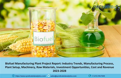 Comprehensive Approach to Setting Up a Biofuel Manufacturing Plant