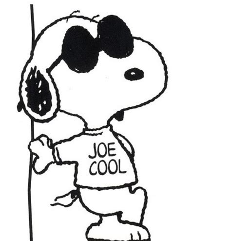 Sunglasses and cool... Joe Cool to be exact! - CTS Wholesale LLC.