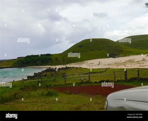 nature of Easter Island, landscape, vegetation and coast Stock Photo ...