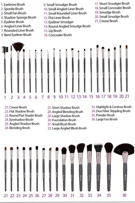 Brush Ed | Makeup brushes guide, Eye makeup tutorial, Makeup tutorial