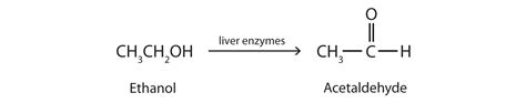 14.4: Reactions that Form Alcohols - Chemistry LibreTexts