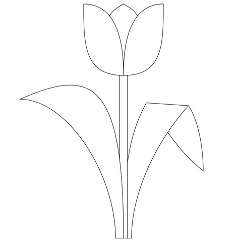 Tulip Template Printable - Printable Word Searches