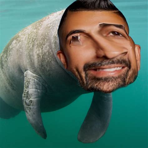 Dhar Manatee : r/dharmann