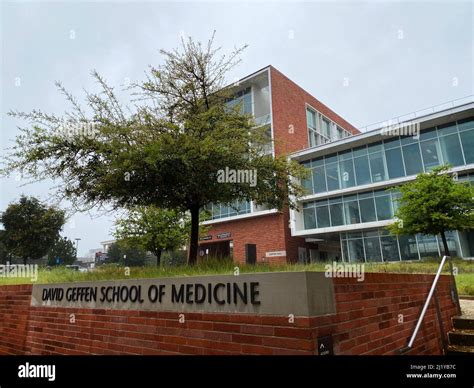 The David Geffen School of Medicine (DGSOM) at the University of ...