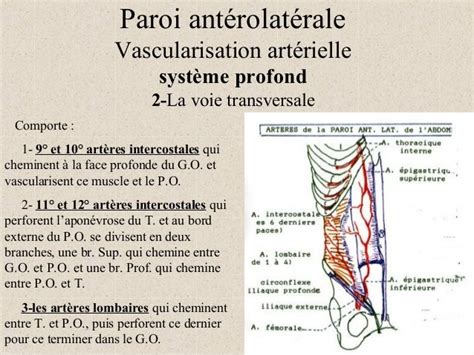 ESPACE DE BOGROS PDF