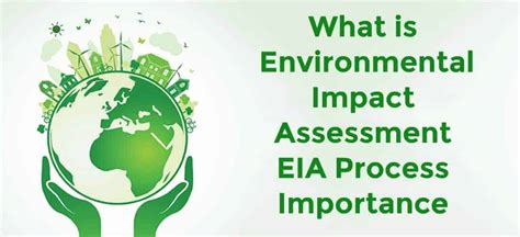 Environmental Impact Assessment (EIA)