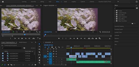 How to Use Effects in Adobe Premiere Pro