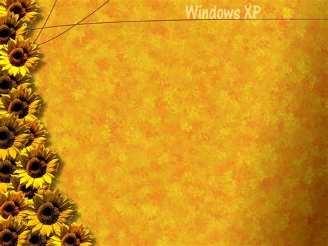 wallpaper: Windows XP Wallpapers And Backgrounds