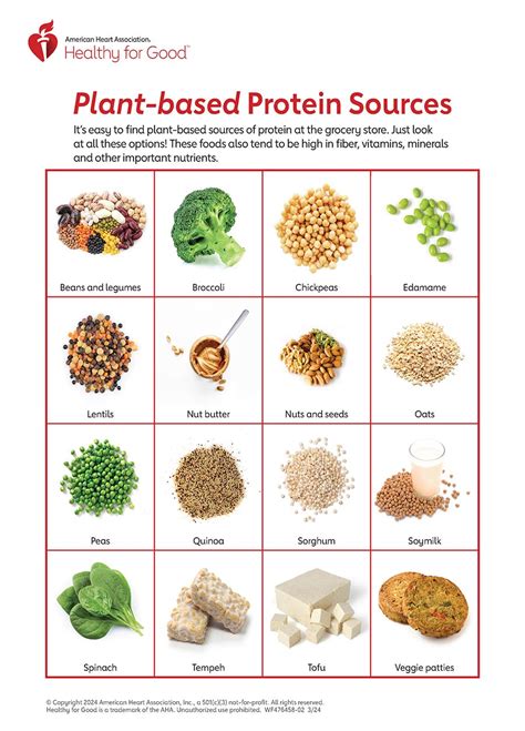 Plant-based Protein Infographic | American Heart Association