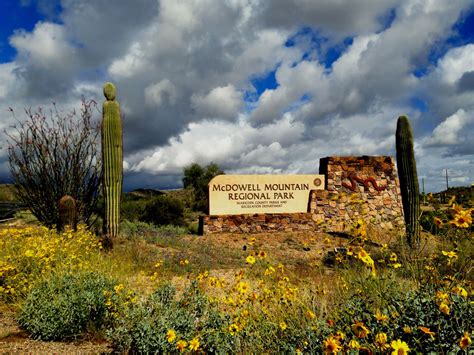 McDowell Mountain Regional Park