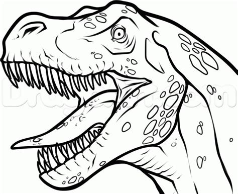 How to Draw a T-Rex Head, Step by Step, Dinosaurs, Animals, FREE Online ...