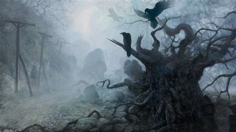 Scary Forest Wallpaper (57+ images)