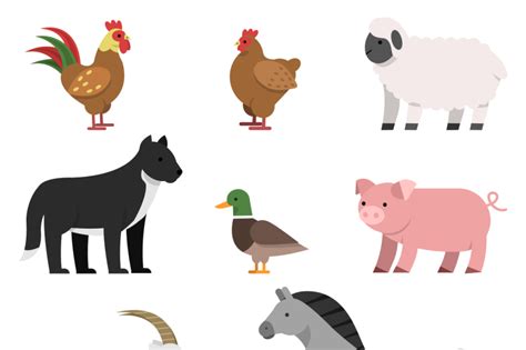 Flat illustrations of farm animals By ONYX | TheHungryJPEG