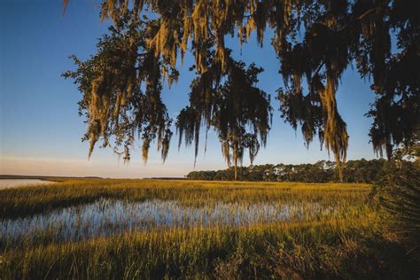 History Explained: Why It's Called the Lowcountry - Palmetto Bluff